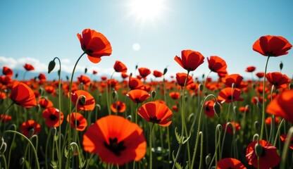 Fototapeta premium Red poppies sway in a vibrant field under a bright moonlit sky with fluffy clouds at dusk