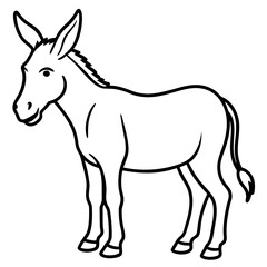 donkey isolated on white