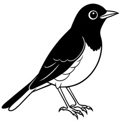crow on a white background