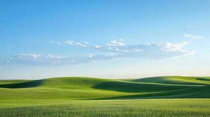Obraz premium Vast Green Fields Under a Clear Sky