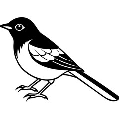 bird on a branch