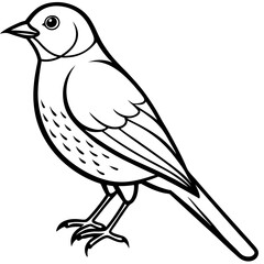 sketch of a bird