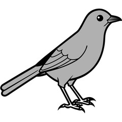 bird on a branch