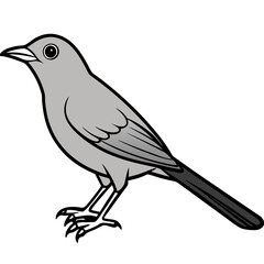 bird on a branch
