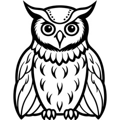owl on white background