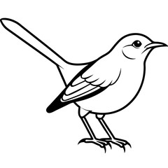vector illustration of a bird
