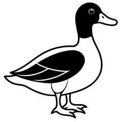 duck on white