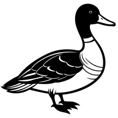 duck vector illustration