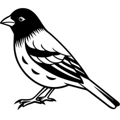 bird on a branch