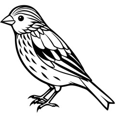 bird on a branch