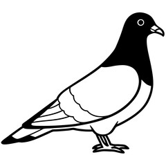 dove of peace
