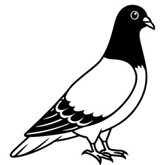 dove on a branch