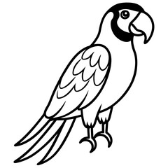 bird of prey
