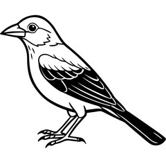 bird on a branch