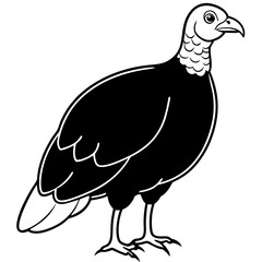 vector illustration of a bird