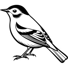 bird on a branch