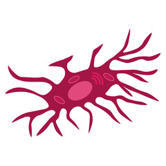 Osteocyte