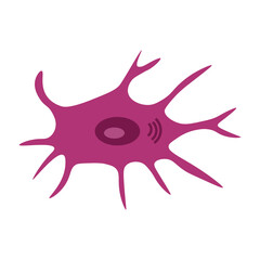 Osteocyte