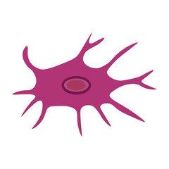 Osteocyte 