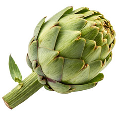 Artichoke isolated on a transparent background	
