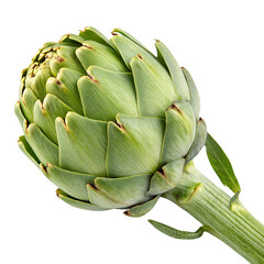 Obraz premium Artichoke isolated on a transparent background 