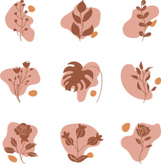 Boho botanical design template