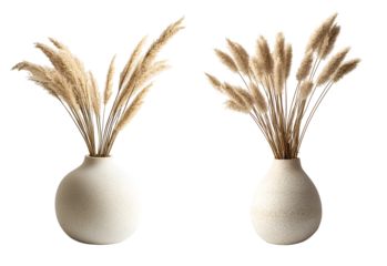 isolated of a beige round pot decorative vase with beige dried grass, on white
