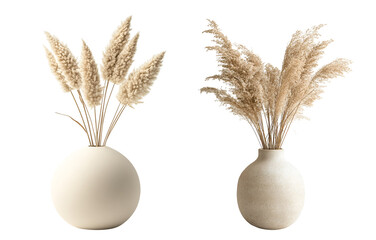isolated of a beige round pot decorative vase with beige dried grass, on white