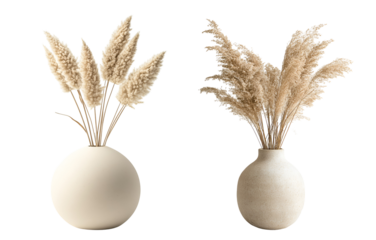 isolated of a beige round pot decorative vase with beige dried grass, on white