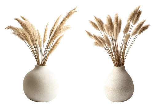 isolated of a beige round pot decorative vase with beige dried grass, on white