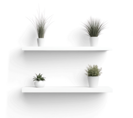 PNG Floating shelves shelf plants clean.