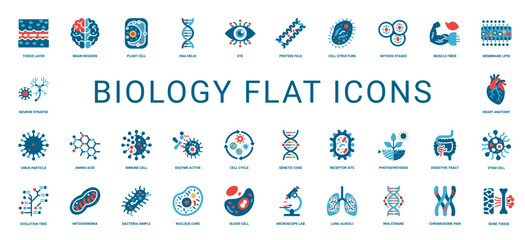 biology flat icons, muscle fiber nucleus core enzyme active mitochondria blood cell, research technology science