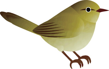 メジロ　めじろ　水彩　あしらい　飾り　鶯　うぐいす　鳥　春　イラスト素材