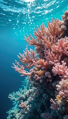 Obraz premium Vibrant Coral Reef Under Sunlight