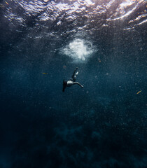 Diver exploring deep blue ocean with sun rays shining through surface