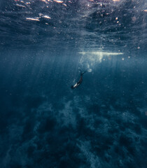 Free diver exploring deep blue ocean with sunbeams penetrating the surface