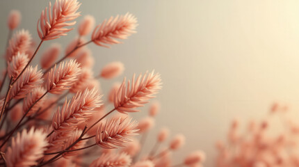 A bunch of pink flowers with a white background. The flowers are arranged in a way that they look like they are blowing in the wind