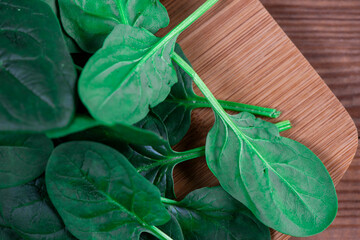  Close up of fresh spinach 