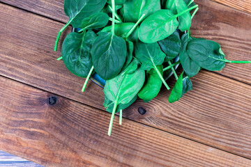  Close up of fresh spinach 