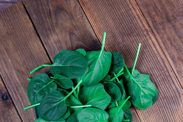  Close up of fresh spinach 