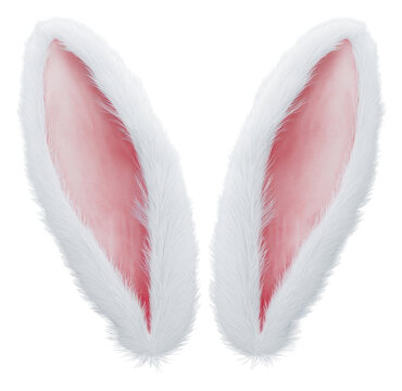 PNG White rabbit ears animal bunny pink.