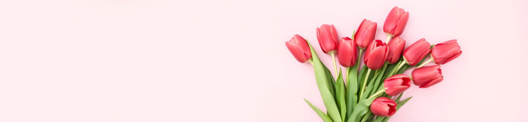 Fototapeta premium Minimalistic composition of fresh red tulips with copyspace. Delicate spring bouquet 