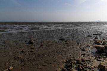 mudflat at the seaside