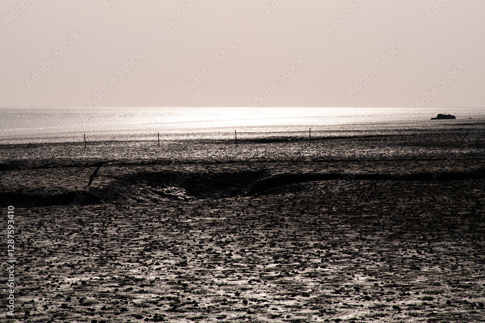 Wall mural mudflat at the seaside