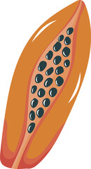 Illustration a Half of Papaya Fruit with Seed