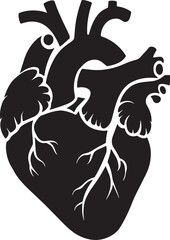Realistic human heart vector drawing