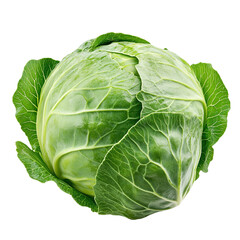 Fototapeta premium Fresh Green Cabbage with Crisp Leaves