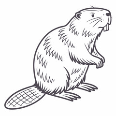 Obraz premium beaver