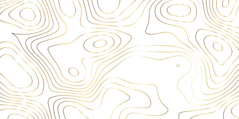 Abstract golden topographic lines background. modern topographic inspired design with curved elevation style lines. flowing contour lines forming a seamless organic topographic pattern.