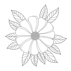 line art illustration flower coloring page 